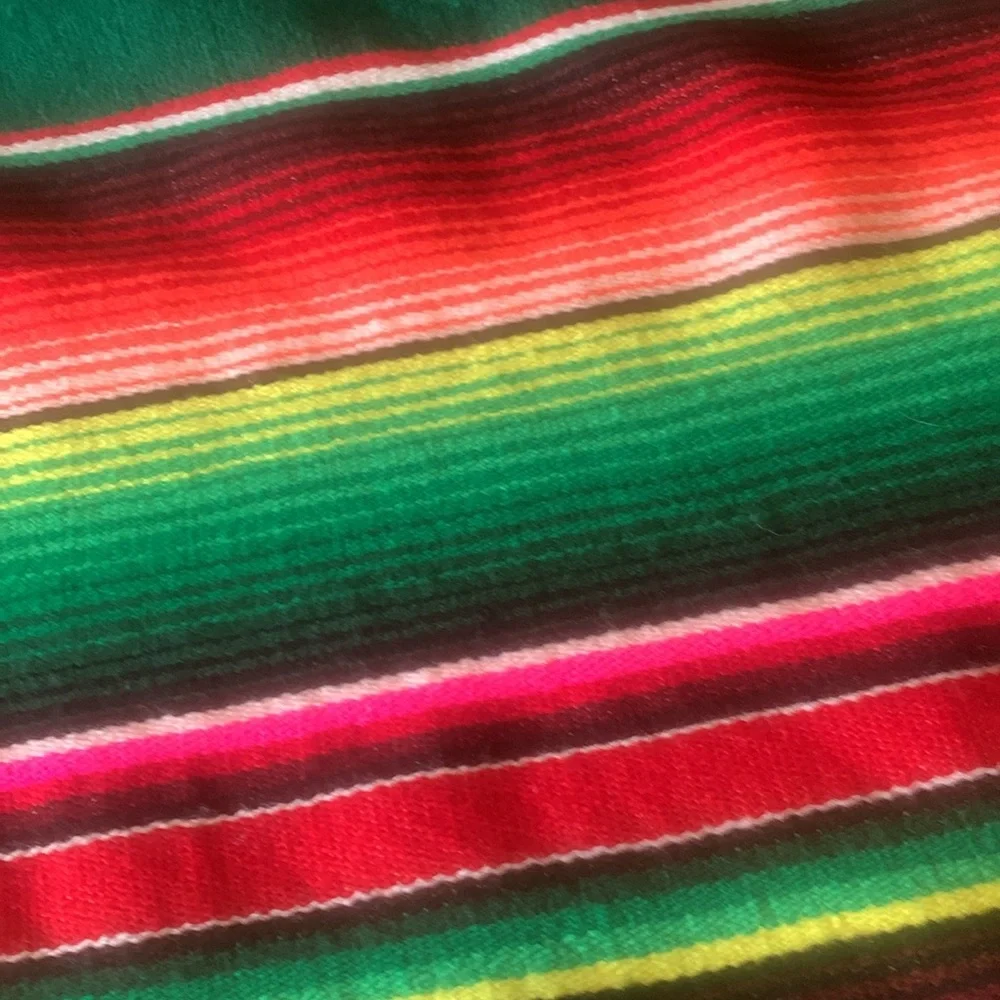 Vintage colorful cotton Mexican serape sarape salti fringed blanket - Picture 13 of 15